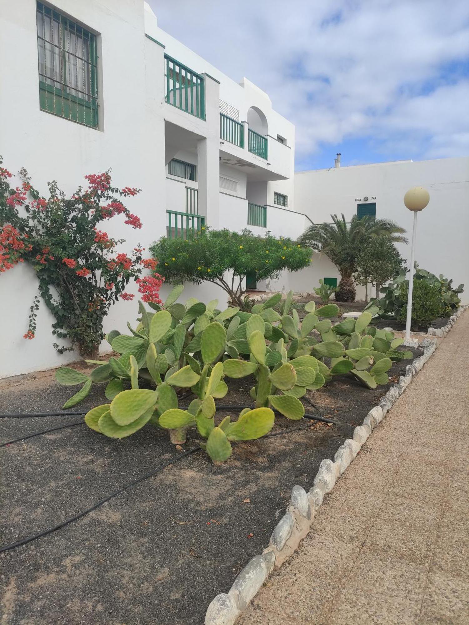 Appartamento Casita Perla Blanca Costa De Antigua Esterno foto