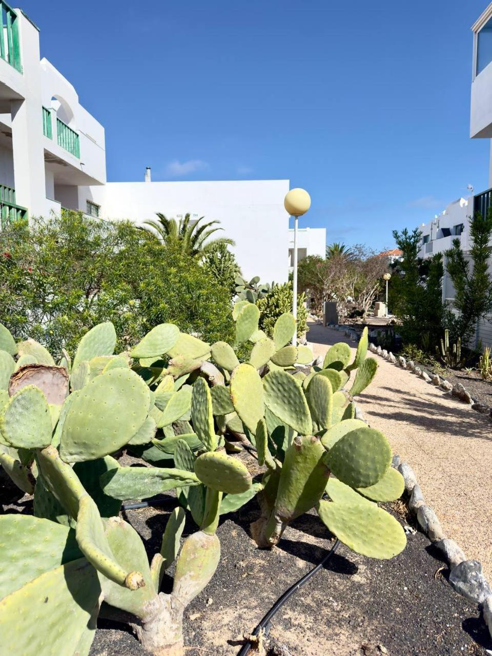 Appartamento Casita Perla Blanca Costa De Antigua Esterno foto